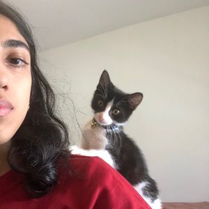 Meet your Posher, Hera